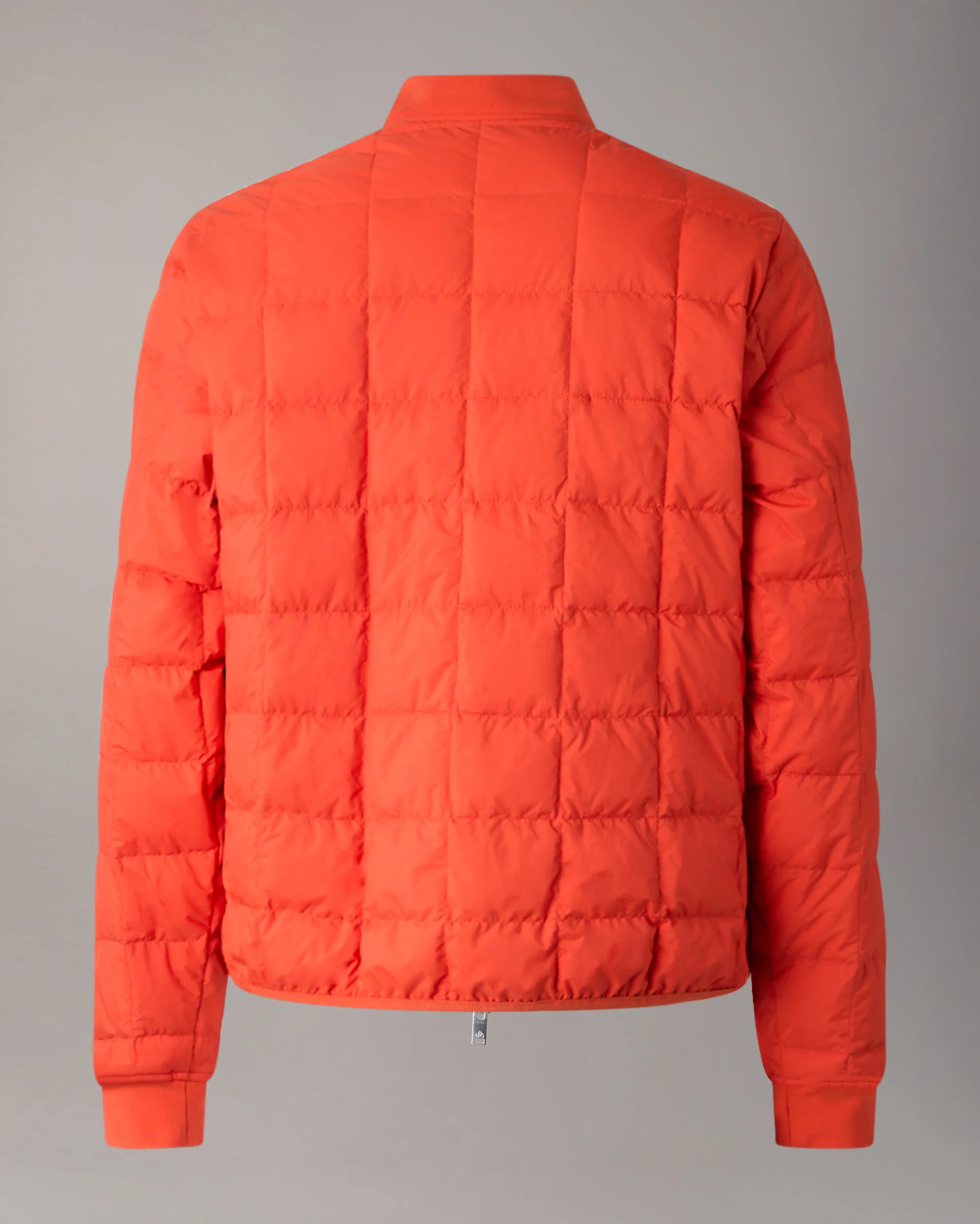 TRANSIT LINER BOMBER JACKET -SPRITZ - Image 5